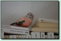 Sehr belesen!