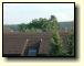Baumgruppe 1