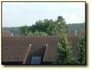 Baumgruppe 1