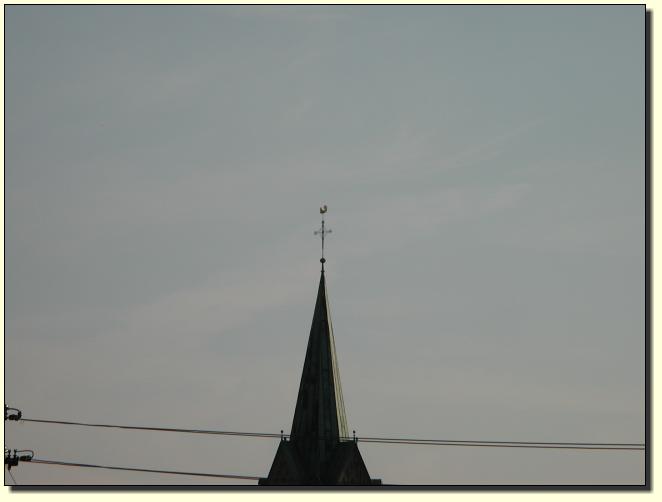 Wetterhahn 6x Zoom