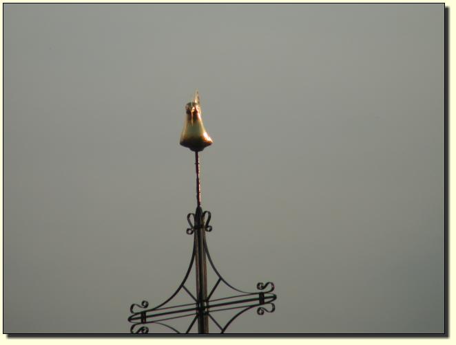 Wetterhahn 135x Zoom 3