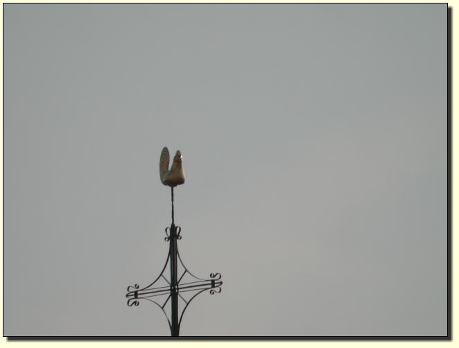 Wetterhahn 120x Zoom 1