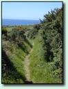 The Dingle Way