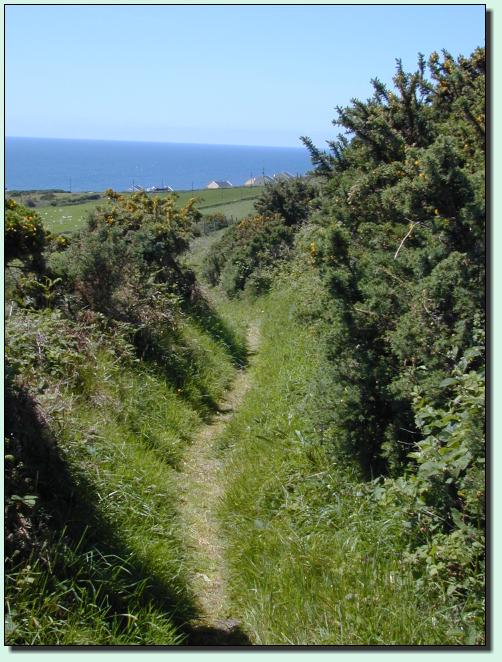 The Dingle Way