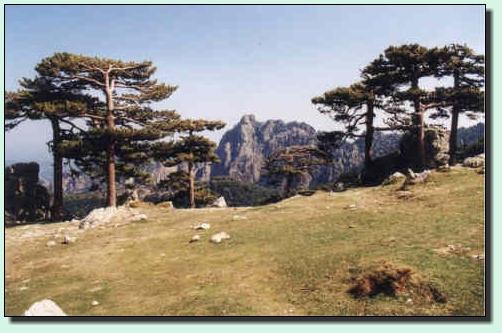 Bavella