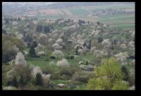 Blick nach Westen