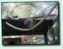 Loro Parque
