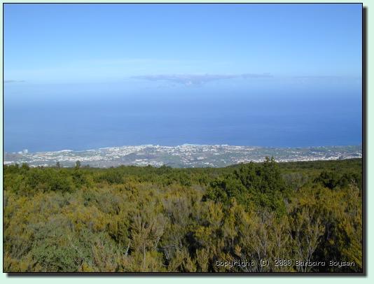 Puerto de la Cruz