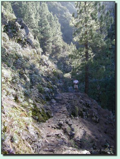 Wanderung