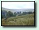 Yorkshire Dales