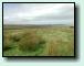 Exmoor Impression