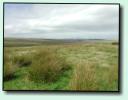 Exmoor Impression