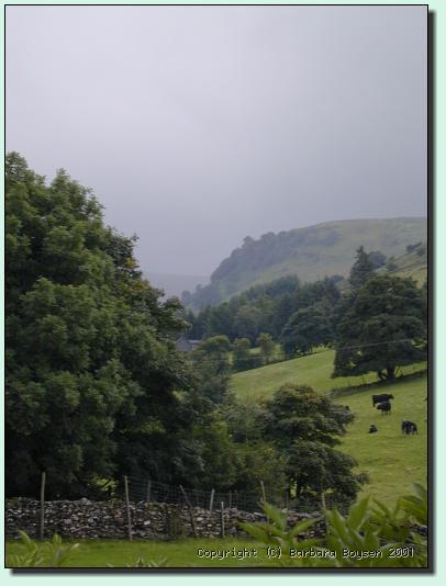 Regen voraus