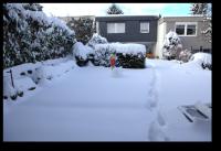 Unser Garten