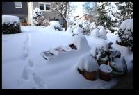 Unser Garten