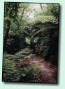 Wanderweg