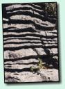 Felsen-Detail