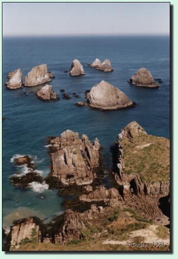Nugget-Point