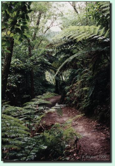 Wanderweg