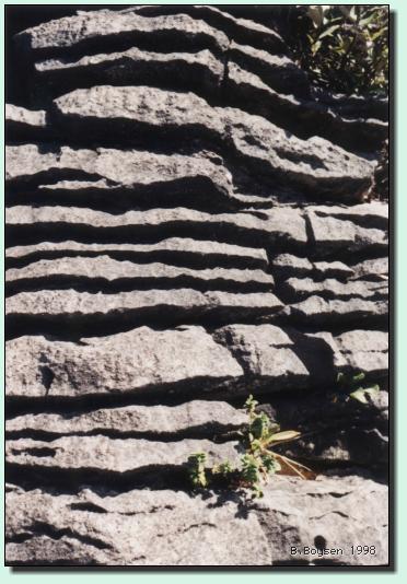 Felsen-Detail