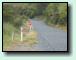 State Highway 43
