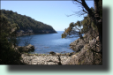 Penguin Island